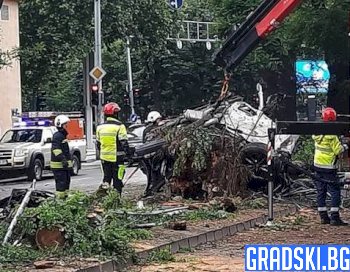 Тежка катастрофа в Пловдив - двама загинаха, а други двама са в тежко състояние